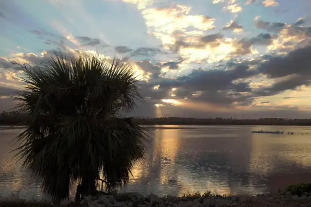 Miami kiedy jechać: uniknij tłumów i wysokich cen w najlepszym czasie