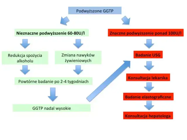 Badanie GGTP: Co oznacza podwyższony wynik i jak go obniżyć?