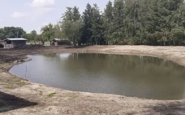 Ile kosztuje wykopanie stawu? Sprawdź, co wpływa na cenę!