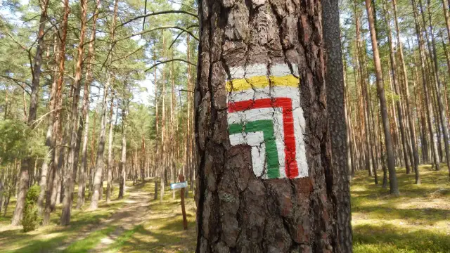 Jak powstają szlaki górskie w Polsce? Od pomysłu po znakowanie PTTK