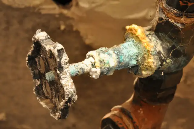 Piony w bloku: Remont od 2 dni! Co musisz wiedzieć?