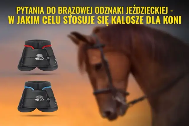 Po co są kaloszki dla konia? Ochrona kopyt i ich korzyści