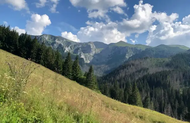 Jak dojść do lodowego źródła w dolinie kościeliskiej - najszybsza trasa
