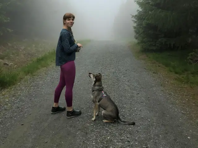 Pies w górach: Czy Twój pupil może iść na szlak? Sprawdź!