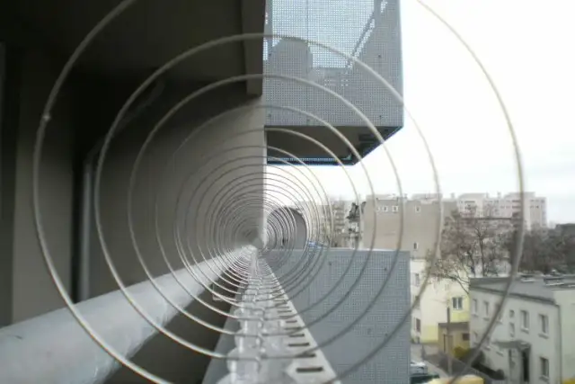 Jak zabezpieczyć dach przed ptakami i uniknąć kosztownych szkód