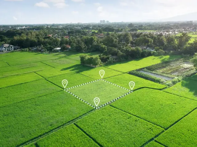  Ile ma 1 ar i jak przeliczyć na m2 i ha w 5 sekund! 