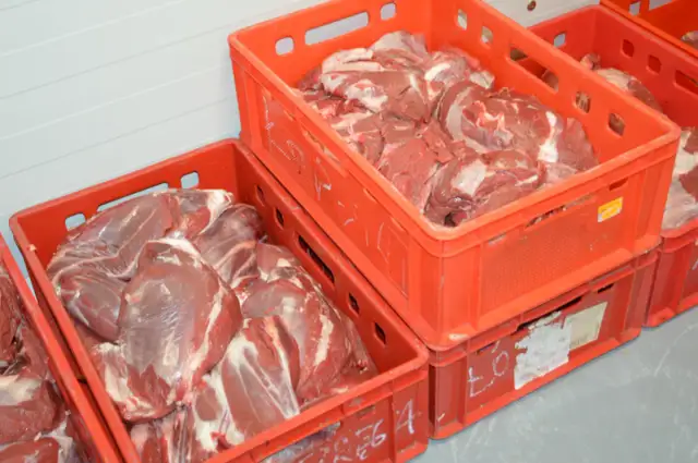 Ile kosztuje badanie mięsa u weterynarza? Sprawdź ceny i szczegóły