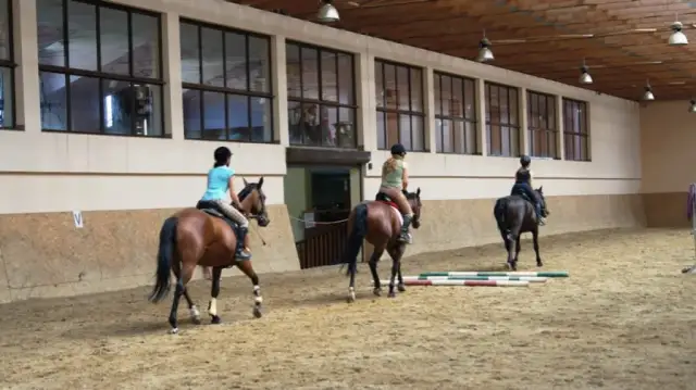 Dlaczego warto jeździć konno? Odkryj korzyści dla zdrowia i duszy