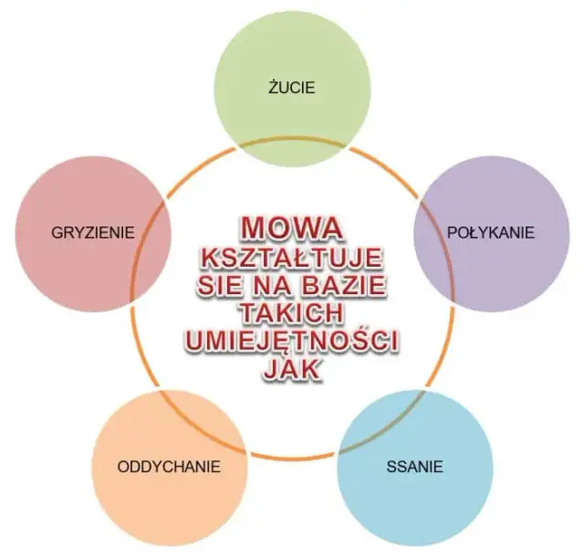 Kiedy dziecko powinno mówić "r"? Normy, przyczyny i ćwiczenia