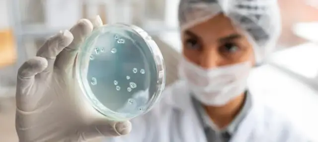 Mikrobiolog: Odkryj zaskakujące ścieżki kariery i zarobki