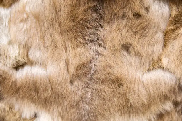 Wełna z alpaki gryzie? Sprawdź, czy jest miękka i delikatna