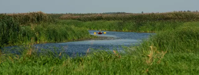Spływ kajakowy Biebrza – najpiękniejsze trasy i ważne informacje