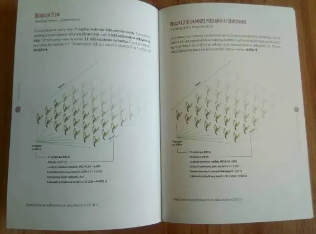 Uprawa malin: Kompletny przewodnik krok po kroku do obfitych zbiorów