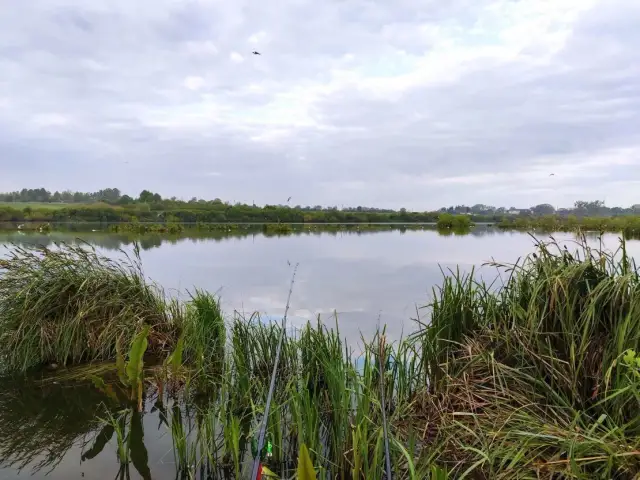 Jakie ciśnienie dobre na ryby? Odkryj tajemnice skutecznego wędkowania