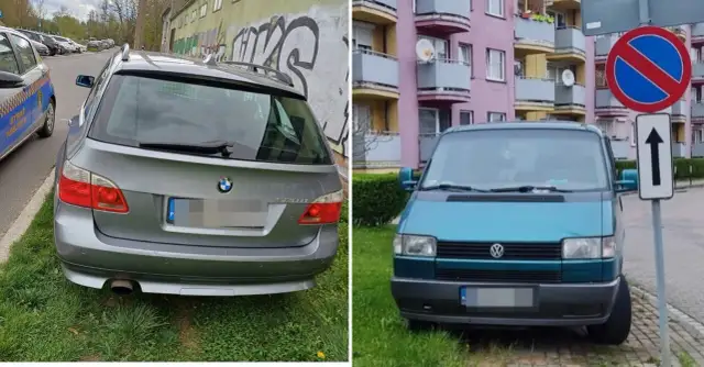 Art. 144 par. 1 KW: Kary za niszczenie zieleni na terenach publicznych