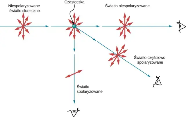 Polaryzacja w fizyce: co to jest i jak wpływa na światło?