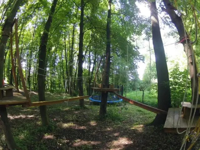 Parki linowe Tarnów: Który wybrać dla dzieci? Przewodnik!