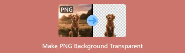 Jak zrobić zdjęcie bez tła w prosty sposób - metody i narzędzia