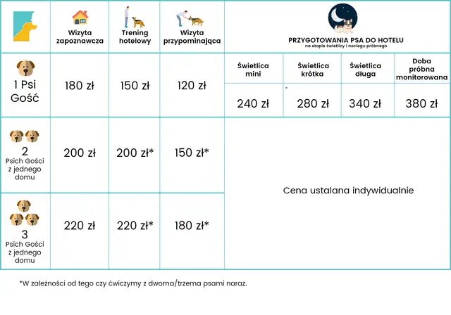 Ceny hoteli dla psów: Od 60 do 200 zł! Jak nie przepłacić?