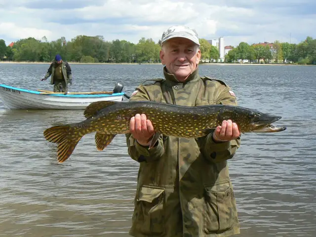 Kiedy sezon na szczupaka? Sprawdź daty i ważne przepisy w Polsce