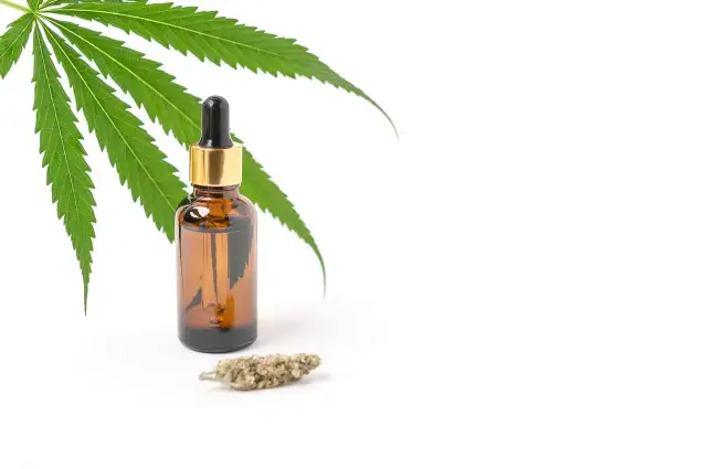 Na co przepisuja medyczną marihuanę? Sprawdź, jakie schorzenia kwalifikują