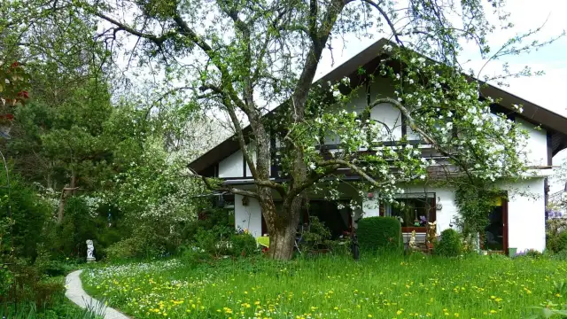 Działka pod dom na zgłoszenie: Wymogi i zmiany 2026. Sprawdź!