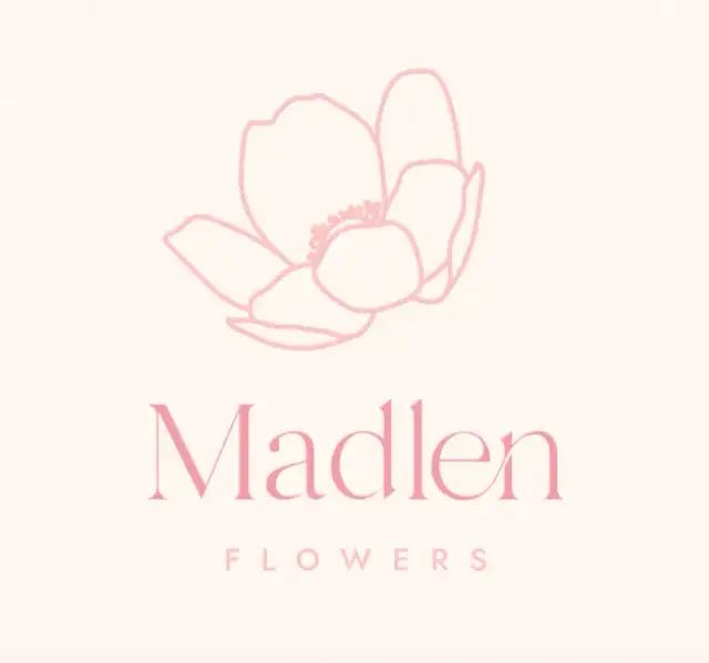 Kiedy jest sezon na goździki? Odkryj najlepszy czas na kwitnienie