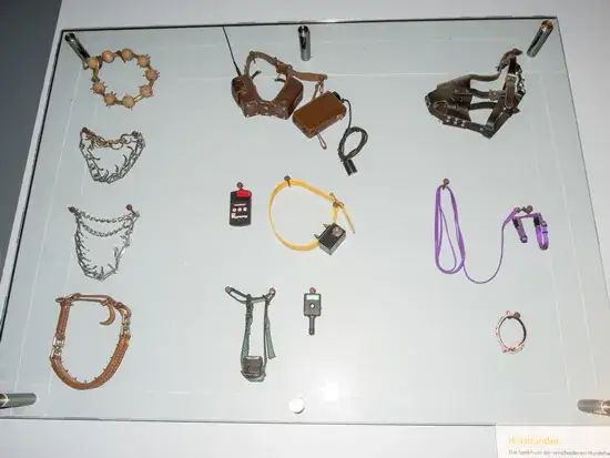 Czy obroża elektryczna jest legalna w Polsce? Poznaj kontrowersje i skutki