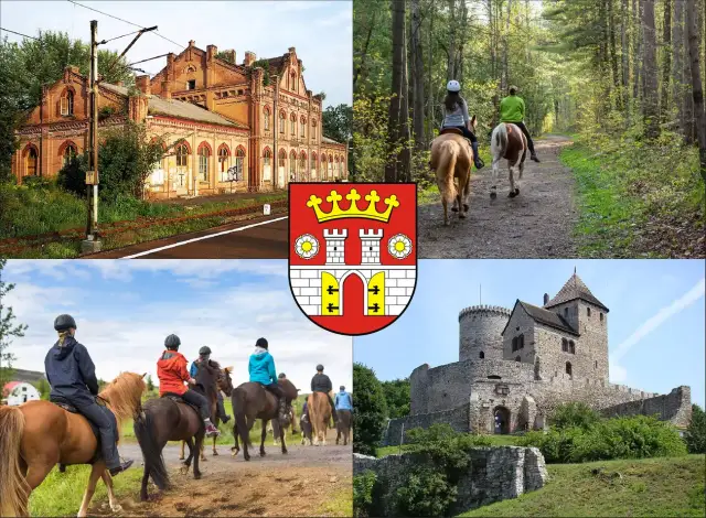 Klub jeździecki Amigo w Będzinie – wyjątkowe lekcje jazdy konnej