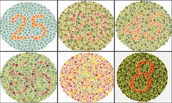 Daltonizm: Czym jest, jak widzi daltonista i czy można to leczyć?