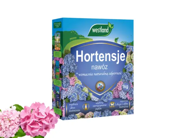 Jakie nawozy pod hortensje zapewnią zdrowe kwiaty i intensywne kolory