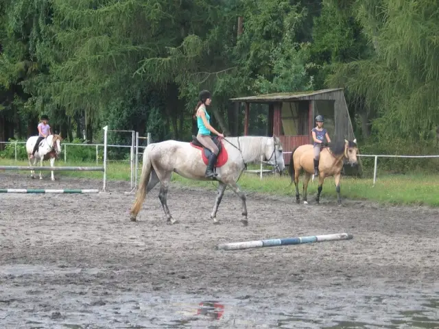 Zabajka stadnina - najlepsze usługi jeździeckie i atrakcje dla rodzin
