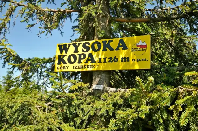 Żółta tablica na drzewie informuje: Wysoka Kopa, 1126 m n.p.m., Góry Izerskie. To najwyższy szczyt gór izerskich.