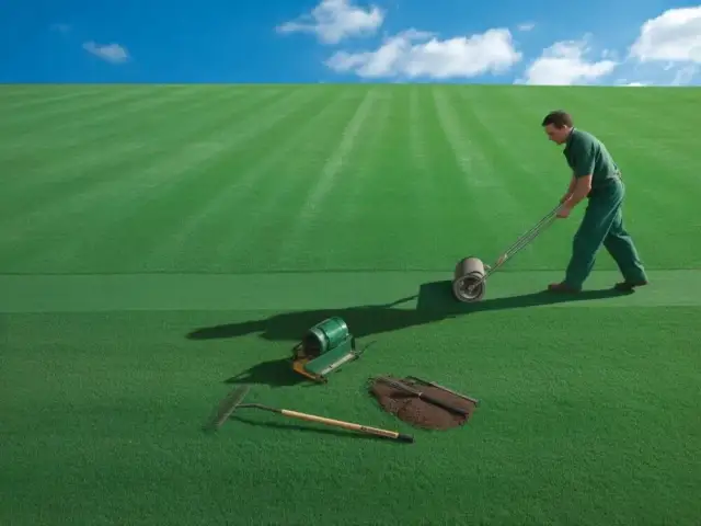 Koleiny na trawniku? Mój sprawdzony sposób na idealną murawę!