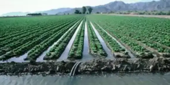 Riegos Azuer: Soluciones efectivas en maquinaria agrícola e irrigación