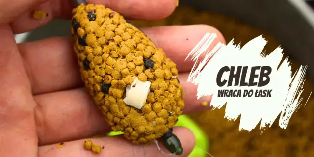 Zanęta z chleba: Jak skutecznie przygotować tanią przynętę na ryby