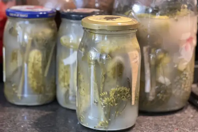 Czy trzeba pasteryzować ogórki kiszone? Odkryj, co tracisz na smaku