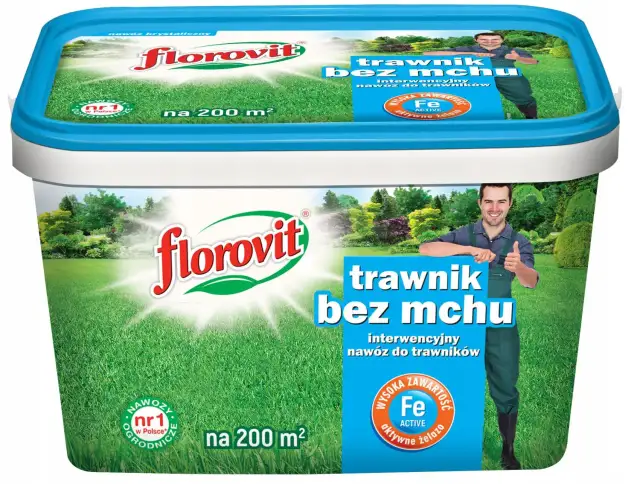 Nawóz antymech kiedy stosować, aby skutecznie zwalczyć mech w trawniku