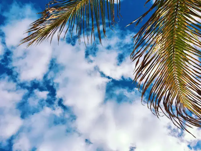 Luty pod palmami: Sprawdzone kierunki na słoneczny urlop i ucieczkę przed zimą