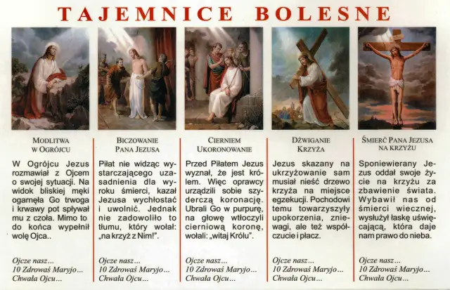 Tajemnice Bolesne Różańca: Przewodnik, Rozważania i Modlitwa
