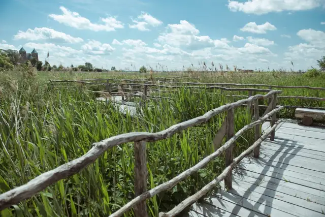 Skansen Tum: Odkryj historię i atrakcje w Kwiatkówku i Tumu