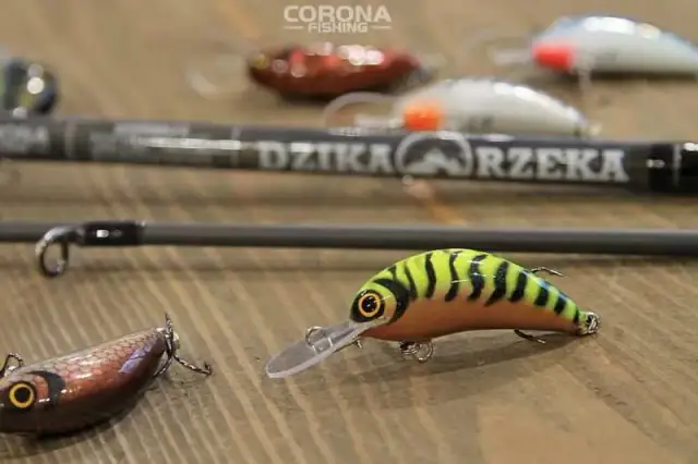 Najlepsze przynęty na jazia: poradnik od A do Z