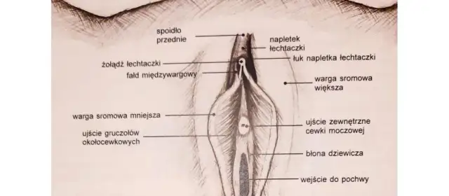 Labioplastyka nfz gdzie: Jak uzyskać refundację i uniknąć problemów
