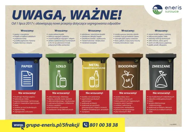 Segregacja śmieci: Co do jakiego pojemnika? Kompletny poradnik