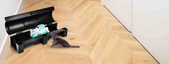 Skuteczne sposoby na pozbycie się myszy pod podłogą w domu