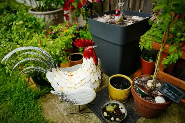 Kiedy sadzić truskawki do gruntu? Wiosna czy jesień? Marcin Lis radzi