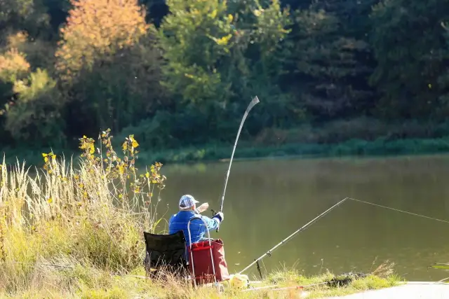Jak uniknąć problemów z opłatą karty wędkarskiej przez internet