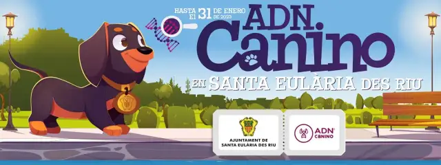 Es obligatorio censar al perro en el ayuntamiento y sus consecuencias