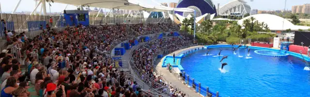 Las mejores atracciones en Valencia que no te puedes perder