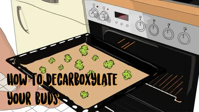 Jak zrobić nalewkę? Kompletny przewodnik krok po kroku